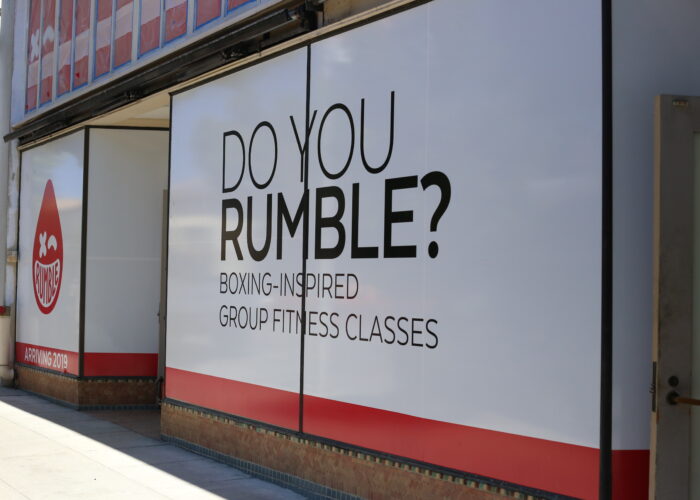 IMG_8617 Rumble Gym